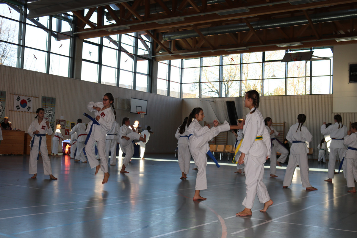 Taekwondo Center Gessertshausen Scheckübergabe 17.11.18