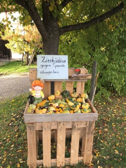 Zierkürbisse gegen Spende