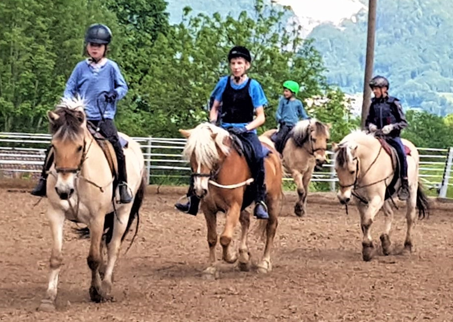 Junge Herzen Bayern Reitfreizeit