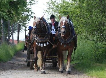 Hans Ettl fährt mit seiner Kutsche für den guten Zweck