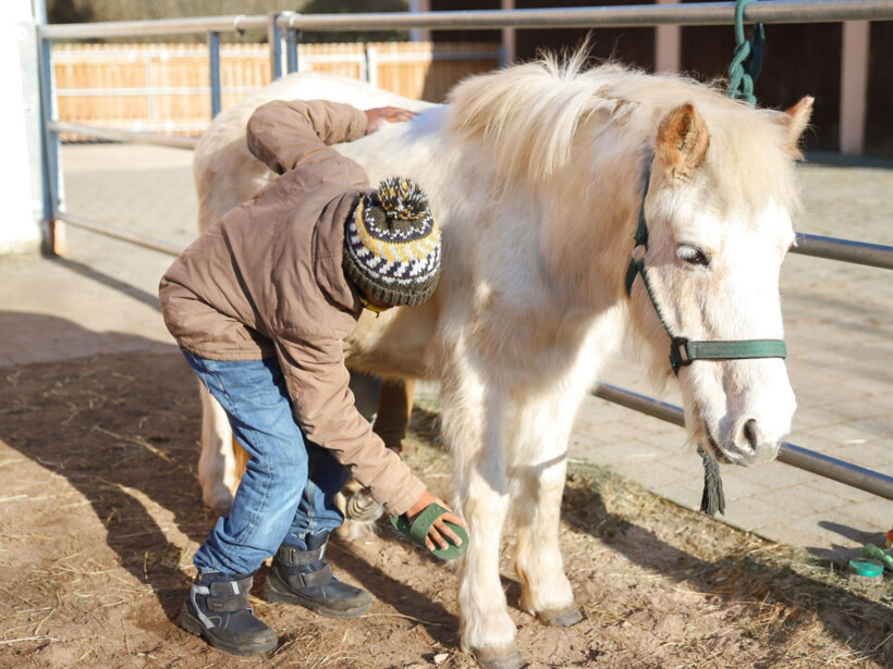 Heilpädagogisches Kinderheim St. Maria Kalzhofen, Reittheraphie, 90-2019, Junge mit Pferd