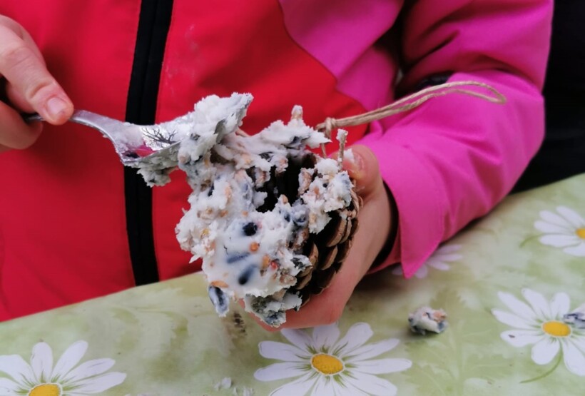 Futterzapfen für Vögel mit Kindern basteln
