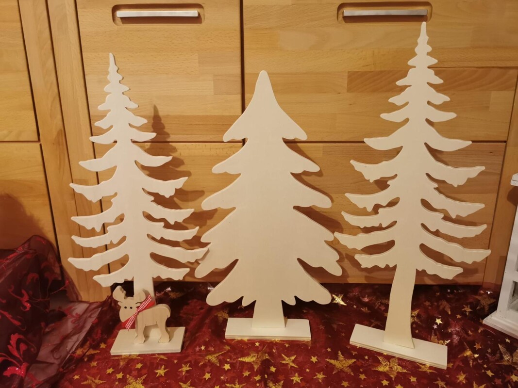 Bastlerportrait Popp