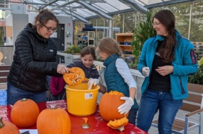 Zwei Frauen und zwei Mädchen schnitzen Kürbisse