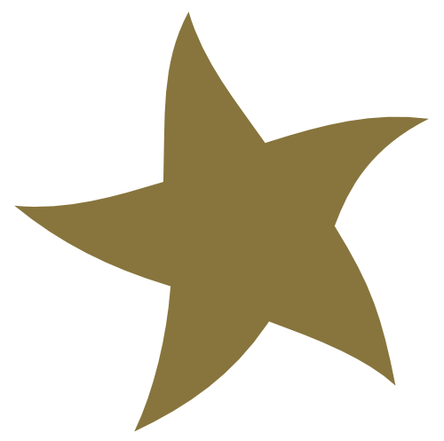 Sternstunden e.V.