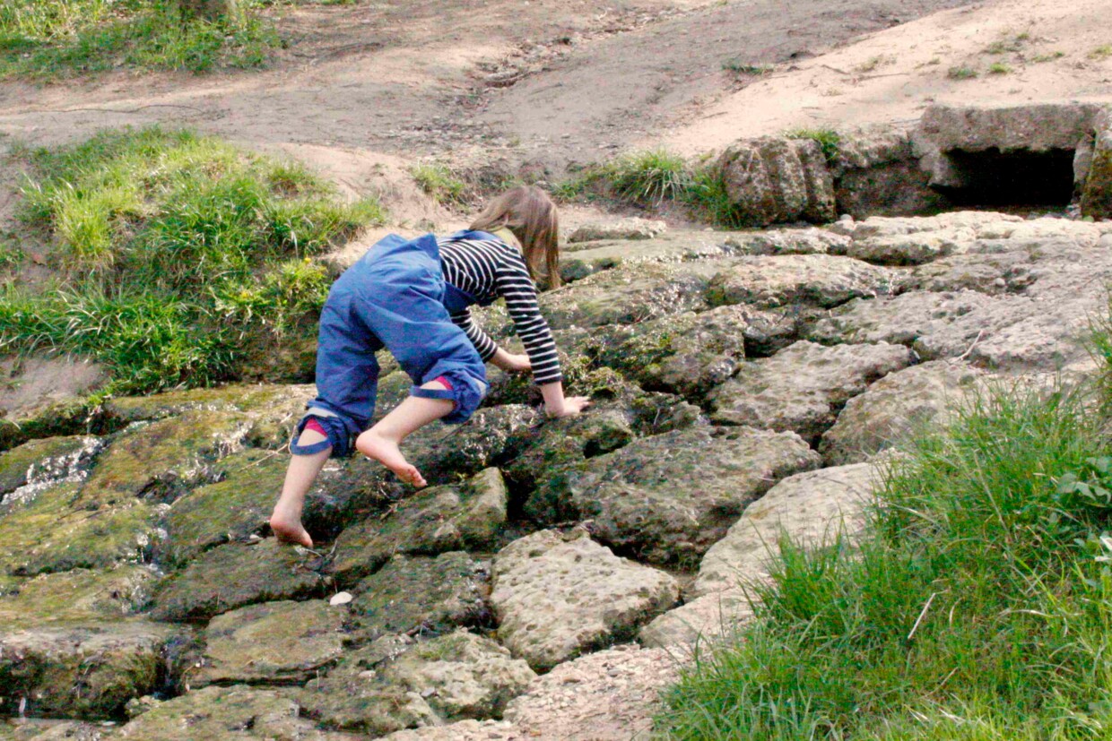 Mädchen (Rückansicht) klettert kleinen Bachlauf mit Steinen hoch